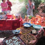 Élisabeth, cuisinière émérite et militante, invite les participants à déguster une myriade de desserts (Trescléoux, 23 août 2013)